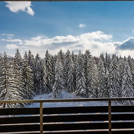 Silver Mountain - Ana's *