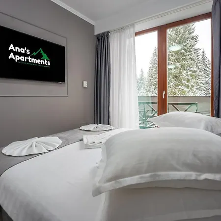 Silver Mountain - Ana's Apartament *